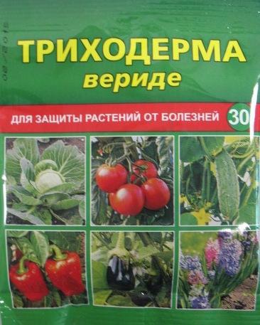 Триходерма верде