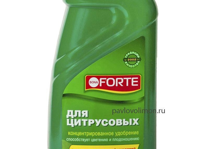 Правильно подкармливаем цитрусовые