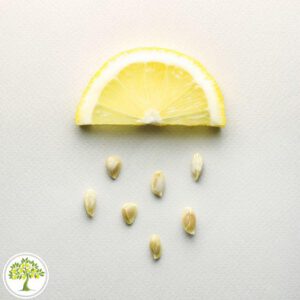Подвой для цитрусовых