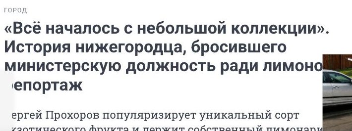 Скриншот публикации о Павловском питомнике