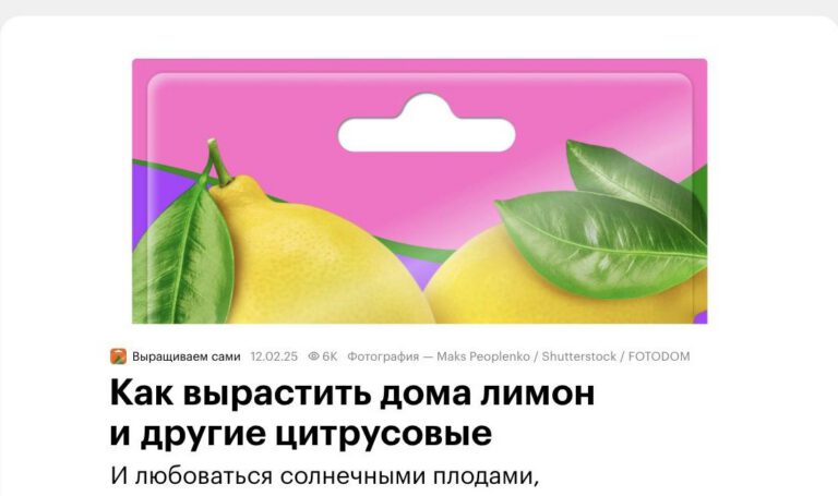 Скриншот публикации о Павловском питомнике