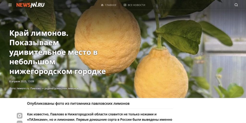 Скриншот публикации о Павловском питомнике