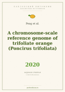 Peng et al. «A chromosome-scale reference genome of trifoliate orange (Poncirus trifoliata)» (2020)