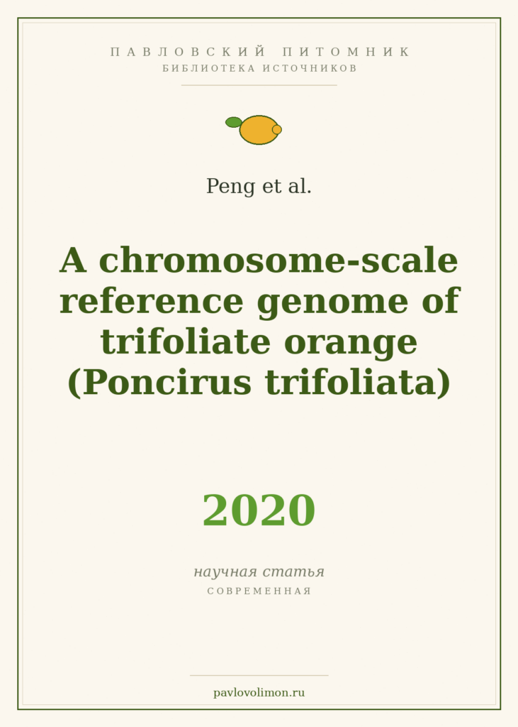 Peng et al. «A chromosome-scale reference genome of trifoliate orange (Poncirus trifoliata)» (2020)