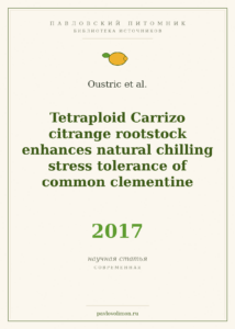 Oustric et al. «Tetraploid Carrizo citrange rootstock enhances natural chilling stress tolerance of common clementine» (
