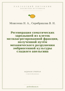Моисеева Н. А., Серебрякова В. Н. «Регенерация соматических зародышей из клеток мелкоагрегированной фракции… сладкого ап