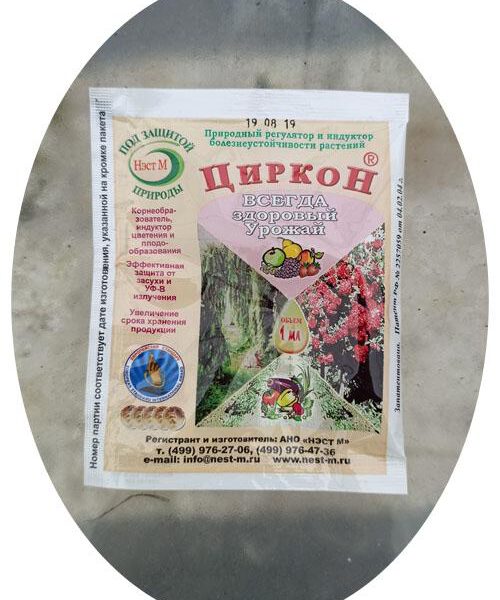 Циркон для цитрусовых — Павловский питомник