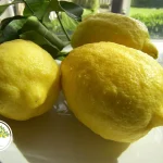 Лимон Новозеландский — форма и фактура спелых плодов
