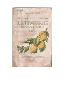 Первая страница издания
