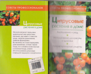 Первая страница издания