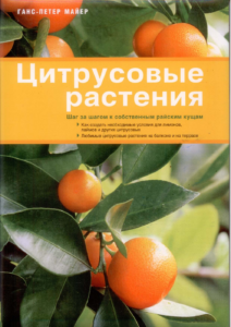 Первая страница издания