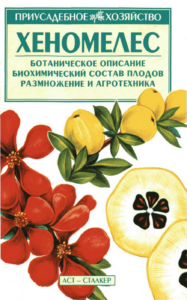 Первая страница издания
