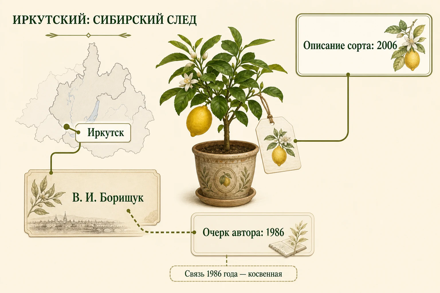 Архивная схема происхождения Иркутского лимона: Иркутск, В. И. Борищук, описание 2006 года и косвенный очерк 1986 года.