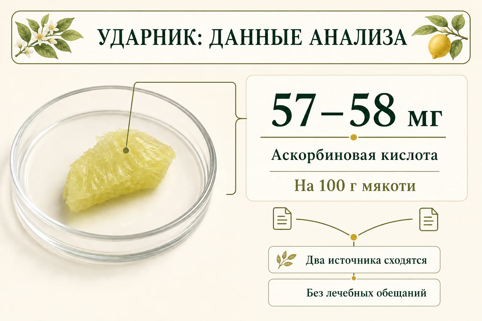 Лабораторная карточка мякоти лимона Ударник с показателем 57–58 мг аскорбиновой кислоты на 100 г.