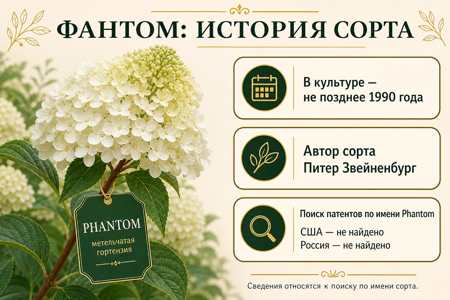 Бирка старого сорта Фантом, архивная дата и карточки поиска патентов США и РФ с оговоркой «не справка».