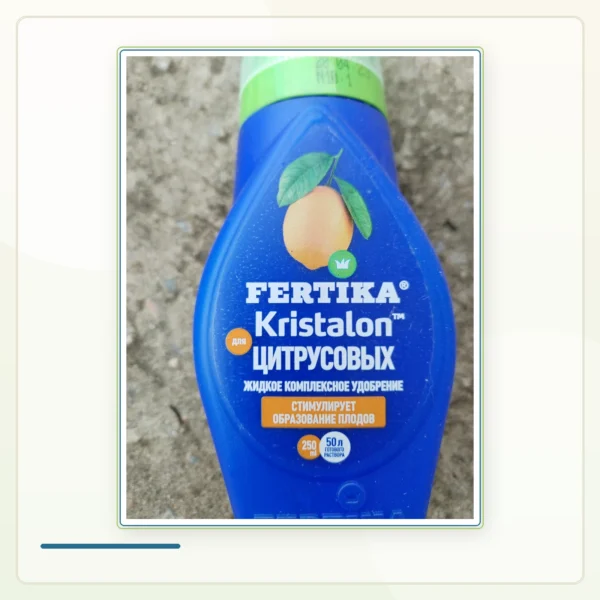 FERTIKA Кристалон для цитрусовых: Реальный флакон Кристалона для цитрусовых.