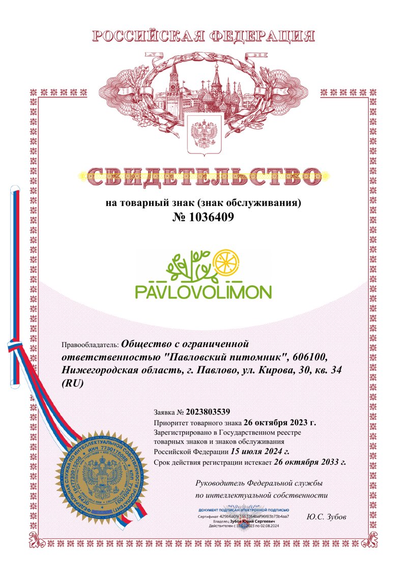 Товарный знак «PAVLOVOLIMON» № 1036409