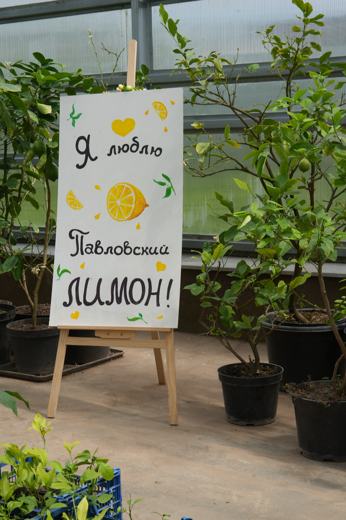 Доставка в Москва