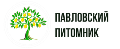 Павловский питомник — родина павловского лимона