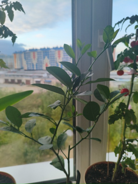 фото покупателя