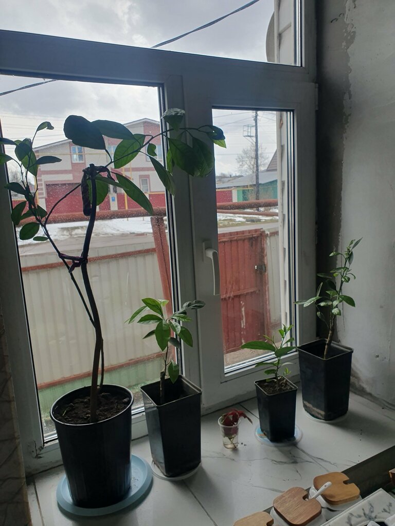 фото покупателя